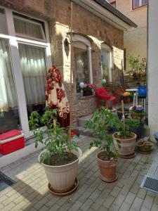 Appartment am Schloss