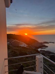 Kochili Ikaria