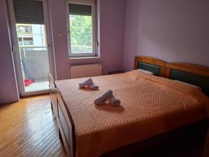 Maestro apartmani Novi Sad