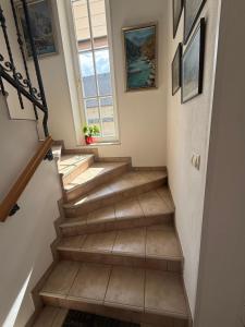 Vila Katja