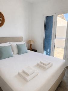 Zostelia Paros Retreat