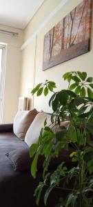 Sofias Zen Home 70 sq2