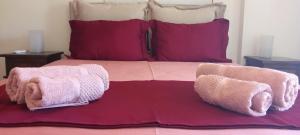 Sofias Zen Home 70 sq2