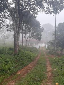 Cloud Home a pinterest home in tropics View Stay in Kalpetta
