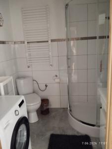 Apartament Miodownik