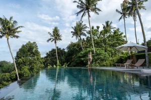Supreme Villa 4BR Ubud Epic Pool Sunrise Canyon