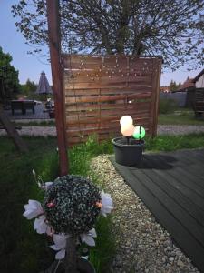 Domek Pod Orzechem całoroczny