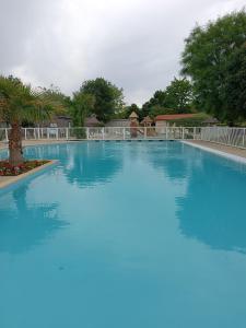 Camping des écureuils