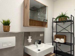 APARTMENT in Hambach