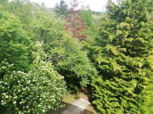 City View Eger