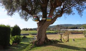 Senra Wellness Nature and Tradition