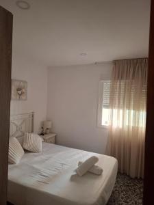 Apartamento ZONA DE LA VICTORIA