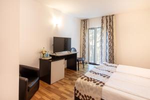Hotel Anina