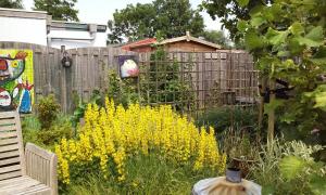 Kittys Place Warmond