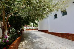 Villa Orkidea
