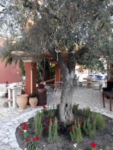 Comfy Stay Gouvia – Studio 4