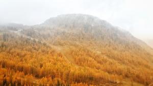 Large south-facing duplex for 8 people in Isola 2000, Mercantour