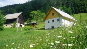Jurček Holiday Home