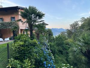 Villa Vista Verde