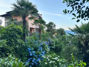 Villa Vista Verde