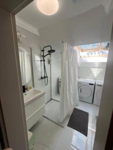 The Bratislava Attic w Aircon and Parking