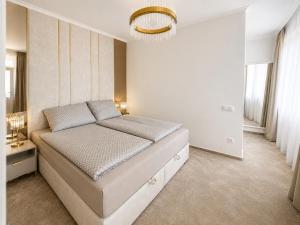 PURE Apartman -free private garage