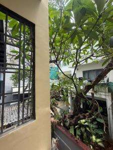The New Chapter Hostel