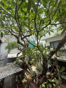 The New Chapter Hostel