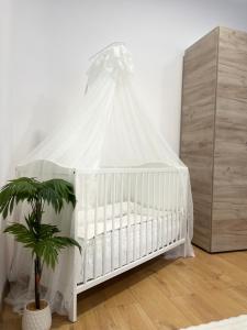 Studio Yas Central Arad