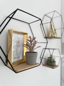 Nest apartman 2