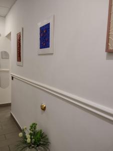 Anthea BB Napoli