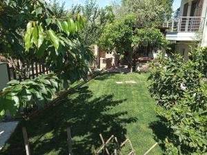 House with garden