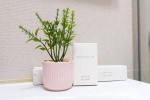 Soni Exclusive Studio 458 Plaza with Private Parking & Self Check-in