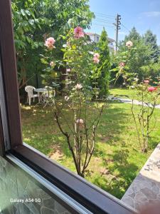SAPANCA GARDEN House
