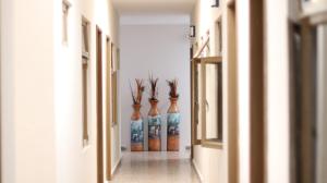Hotel Casa Majaal