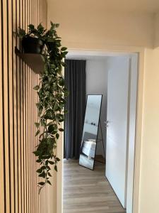 Ferienwohnungen Käsbauer Wohnung Stockerau