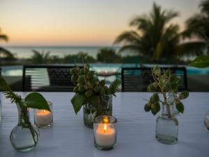 Avenida, Calle Paseo Kuka Manzana. 133, 77310 Isla Holbox, Quintana Roo, Mexico.