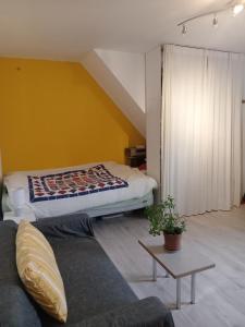 studio refait à neuf avec jardin partagé