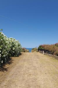 Su tramonte e su mare img15