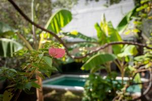 Casa el Jardin