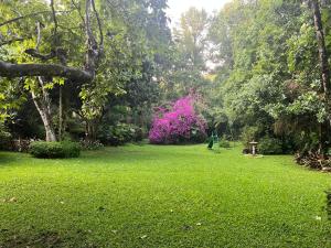 Casa Naranja Xicotepec