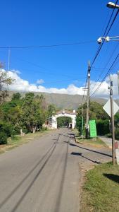 Siempre verde3