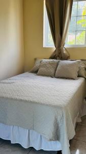 Hostal Casa Maros