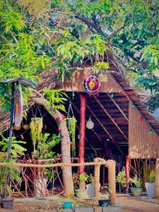 M D Travel Agent
