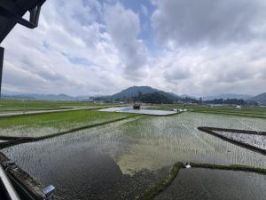 Pigey Poro Homestay