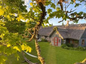 Matsi cottage