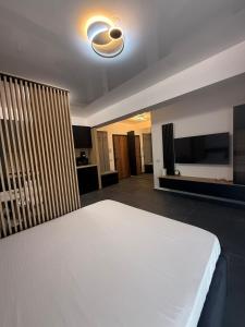 Luxury & Spacious Studio - Navodari