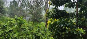 SM GARDENS Nature Stay Kodaikanal