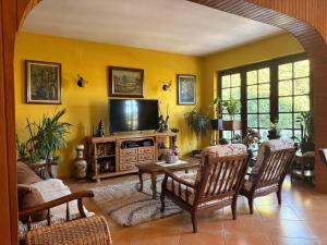 Studio Apartments Petkovic