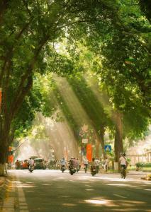 Little Solace Hanoi Homestay